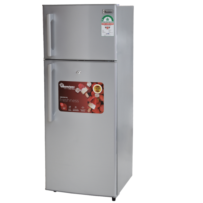 213 LITERS DOUBLE DOOR DIRECT COOL FRIDGE, SILVER- RF/217 - Image 4